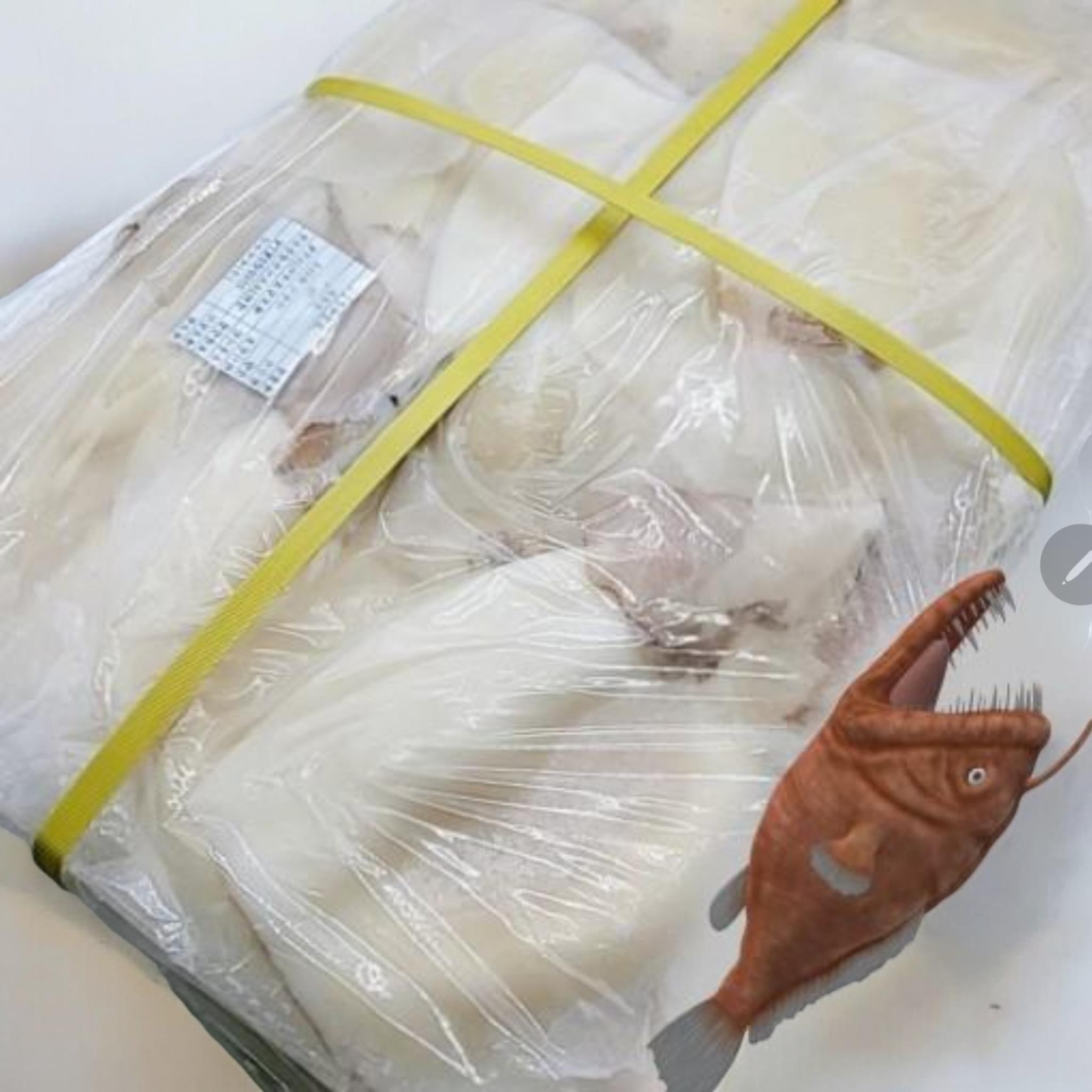 착한오징어 몸통살 3kg 메인 이미지
